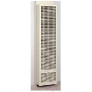 WALL FURNACE GRAVITY 25 mbh NAT GAS COZY (6), item number: W255F